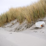 From Waste to Resource: The Role of Circular Economy in Sustainable Technology