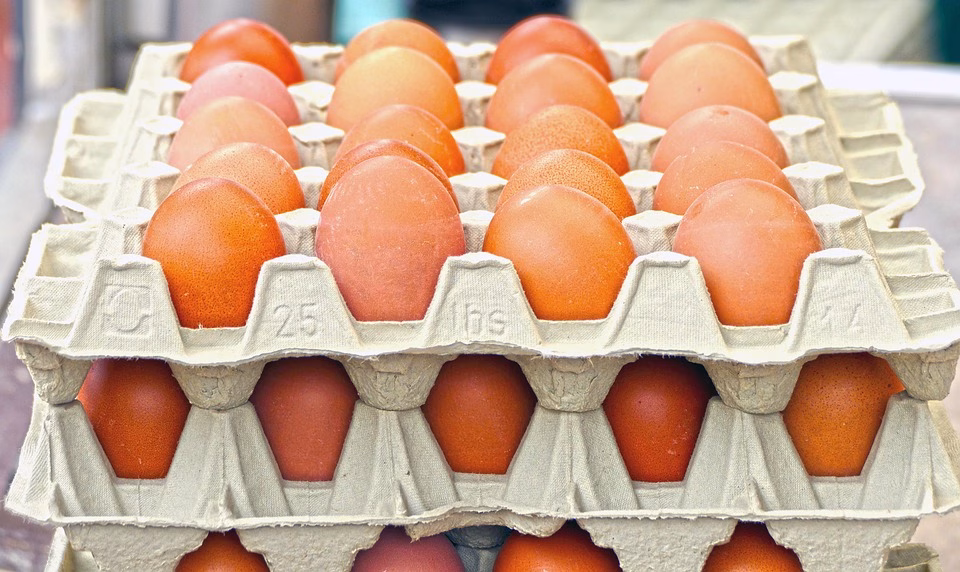 From Novice to Pro: A Comprehensive Guide to Upselling and Cross-Selling