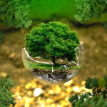 The Environmental Impact: How Asset Management Software Promotes Sustainability