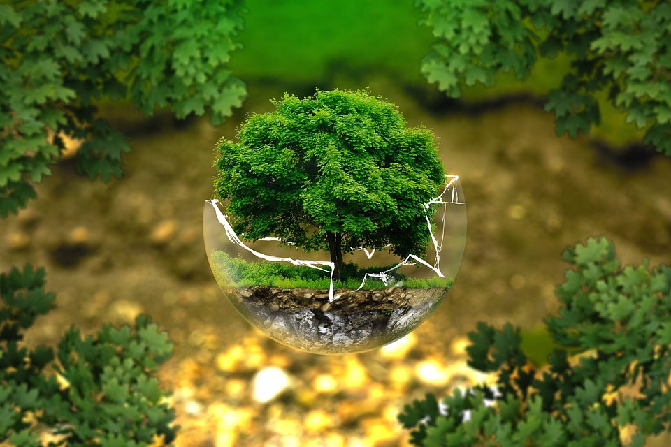 The Environmental Impact: How Asset Management Software Promotes Sustainability