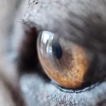 From Chaos to Clarity: Organize Your Life with Task Automation