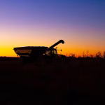 Case Study: Businesses Winning with Content Marketing Automation