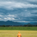 Personalization at Scale: Strategies for Effective Targeted Marketing