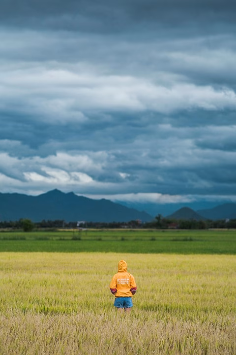 Personalization at Scale: Strategies for Effective Targeted Marketing