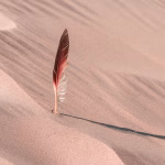 Navigating the Unicorn Landscape: Key Insights from 2025’s Hottest Startups