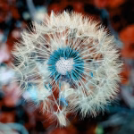 From Seed to Series C: How Startups Are Scaling in 2025