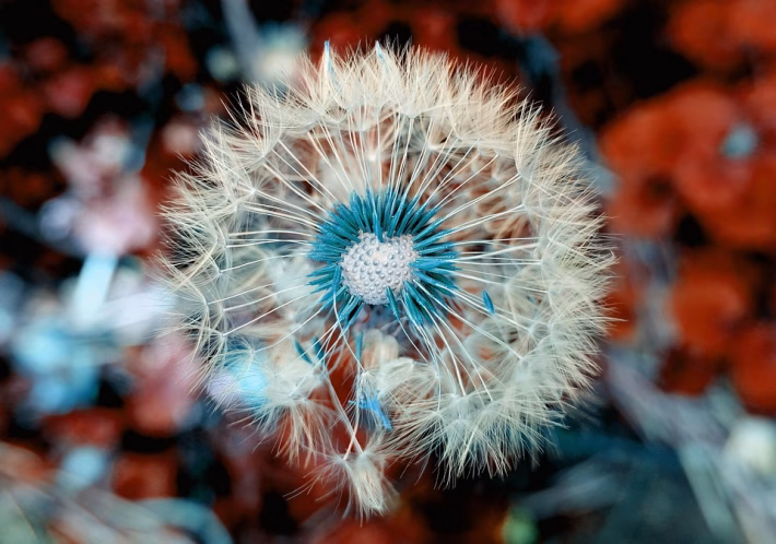 From Seed to Series C: How Startups Are Scaling in 2025