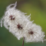 Integration Made Easy: How Bitrix24 CRM Connects with Your Favorite Tools