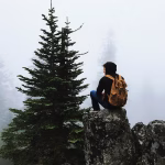 Solo but Not Alone: Building a Support System Through Business Automation