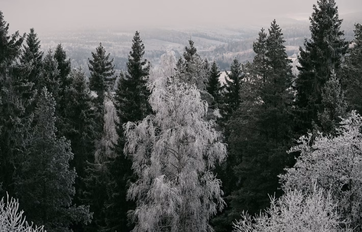 Future-Proof Your Workflow: Best Evergreen Software Resources You Can’t Ignore