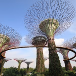Integrate and Innovate: The Case for Adopting a Unified Platform