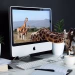 Using Technology to Improve Client Communication: Tools for Freelancers