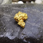 The Gold Standard: What Leading Developers Say About Software Practices