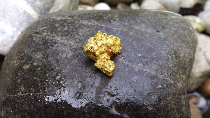 The Gold Standard: What Leading Developers Say About Software Practices