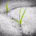 Resilience Redefined: Integrating Technology into Business Continuity Strategies