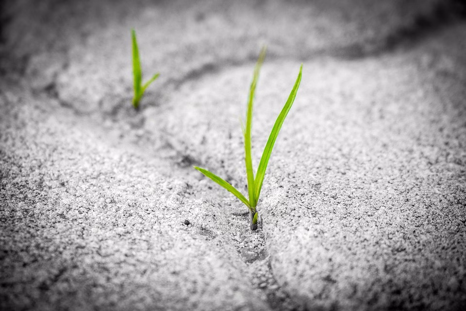Resilience Redefined: Integrating Technology into Business Continuity Strategies