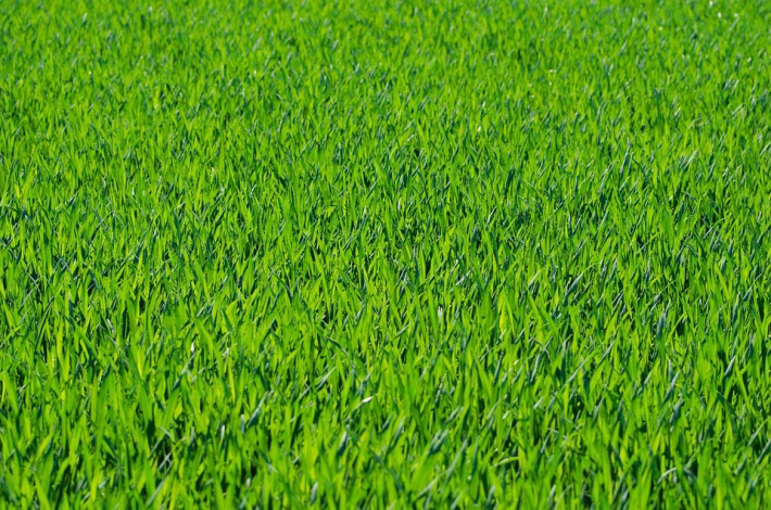 Green Efficiency: Sustainable Practices for a Better Bottom Line