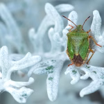 From Bugs to Features: A Comprehensive Review of Recent Software Updates