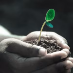 “Unlocking Growth: Accounting Software Solutions Tailored for Startups”