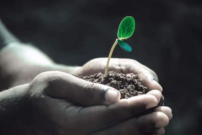 “Unlocking Growth: Accounting Software Solutions Tailored for Startups”