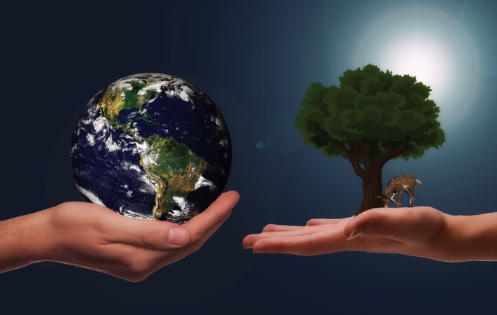 Ethics in the Metaverse: Navigating Privacy, Security, and Digital Rights