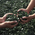 Collaboration Reimagined: WorkSuite’s Impact on Team Projects