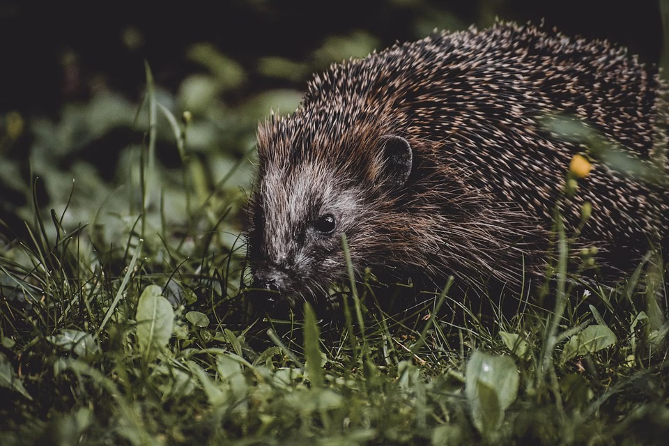 Navigating the World of CRM: Why Capsule is the Right Choice for You