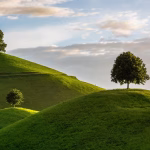 Navigating the CRM Landscape: Key Features That Fuel Revenue Growth