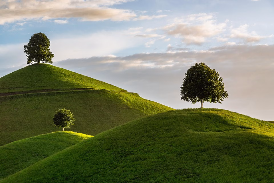 Navigating the CRM Landscape: Key Features That Fuel Revenue Growth