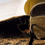 Get Inspired: Top AI Writing Software That Will Change Your Writing Process