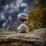Countdown to Connection: The Role of SMS Reminders in Building Client Loyalty