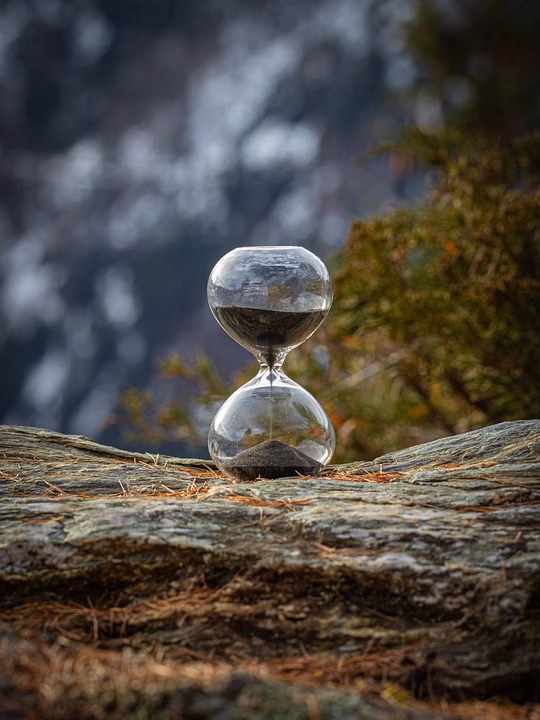 Countdown to Connection: The Role of SMS Reminders in Building Client Loyalty Countdown to Connection: The Role of SMS Reminders in Building Client Loyalty