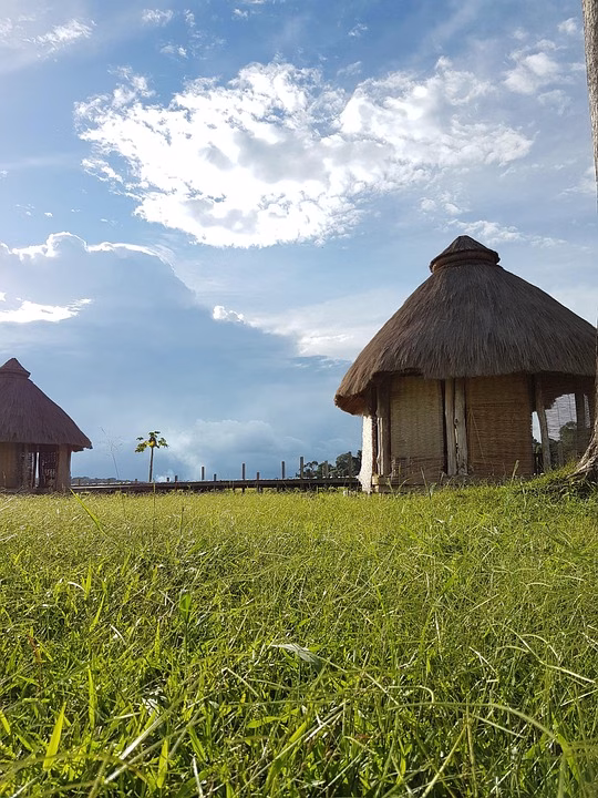 Sustainability Meets Technology: The Eco-Friendly Benefits of vCard in Hospitality