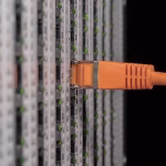 Navigating the Server Landscape: Financial Implications of Technology Choices