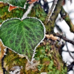 Unlocking Loyalty: The Impact of CRM on Building Lasting Customer Relationships