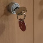 Security in the Open: Trends and Innovations in Open-Source Software by 2025
