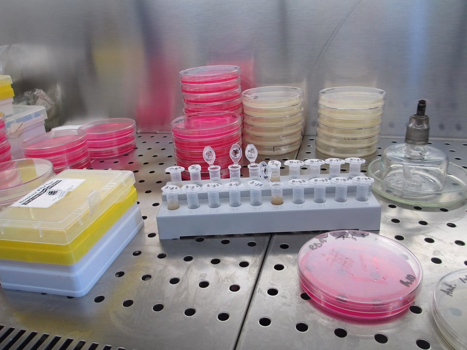 The Biotech Revolution: AI as a Catalyst for Change in the Industry