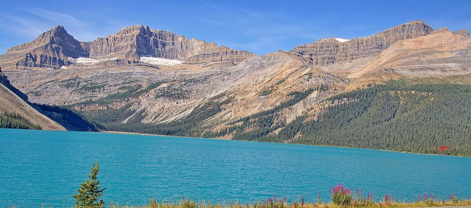 What You Need to Know About Jasper’s Pricing Plans