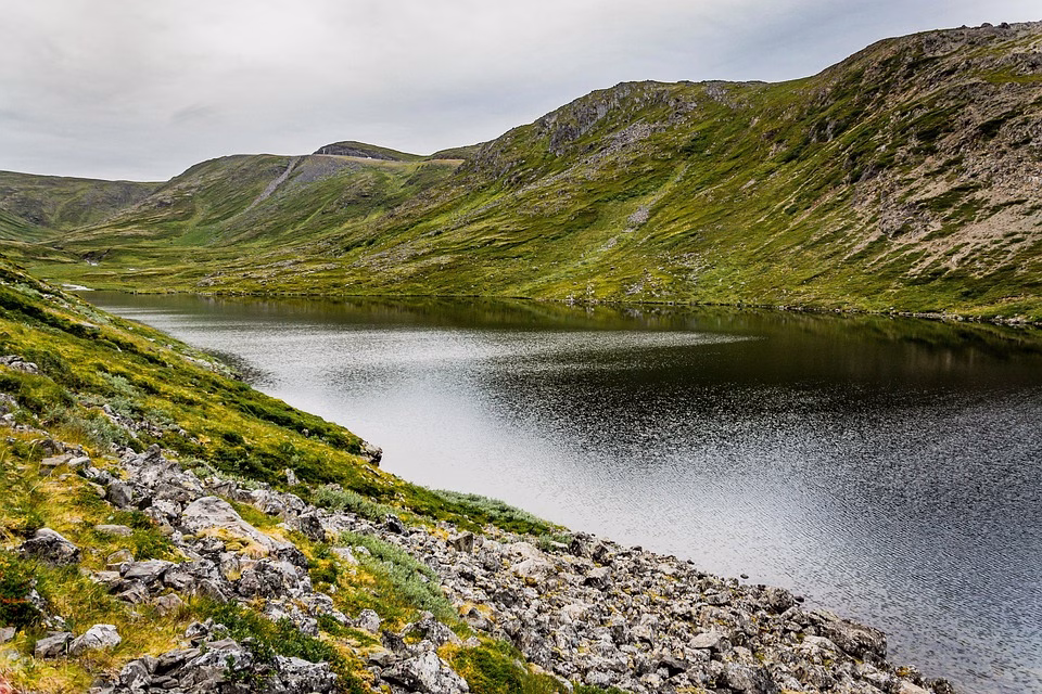 ClickUp for Remote Teams: How to Stay Organized from Anywhere