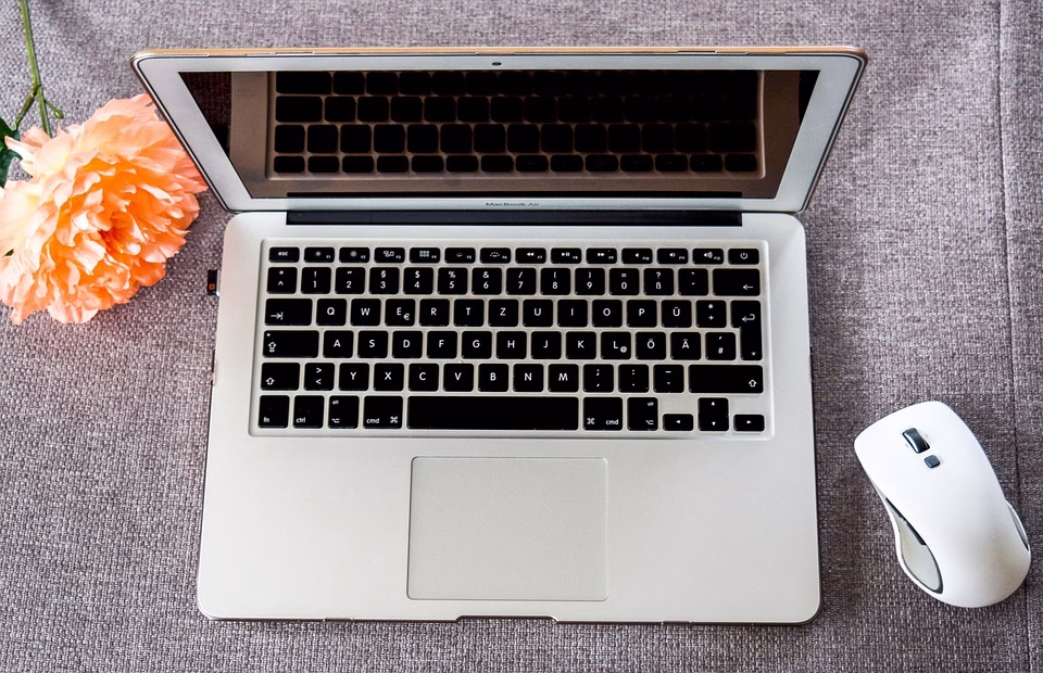 Freelancer Success: The Role of Transparency in Client Interactions Freelancer Success: The Role of Transparency in Client Interactions