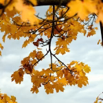 How Cloud Computing Can Transform Your IT Efficiency