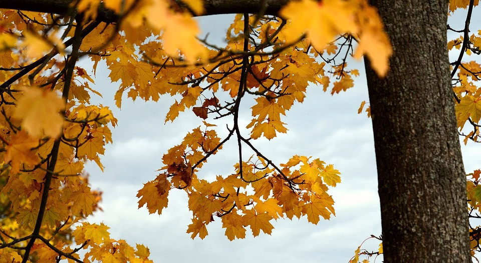 How Cloud Computing Can Transform Your IT Efficiency