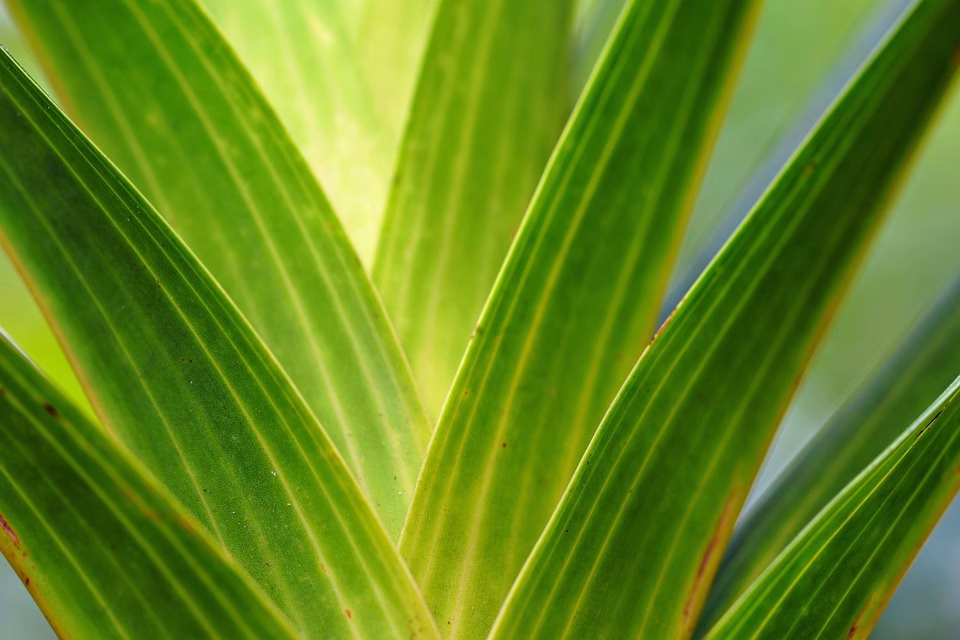 Navigating the Green Frontier: Sustainable Tech Trends to Watch