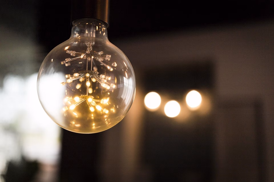 From Idea to Impact: How Startups Are Shaping Tomorrow’s Economy From Idea to Impact: How Startups Are Shaping Tomorrow’s Economy