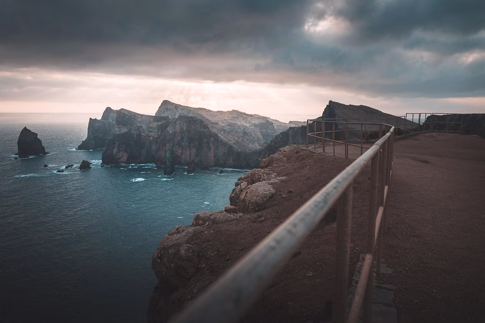 Maximize Your Reach: The Benefits of Bio Link Platforms for Content Creators