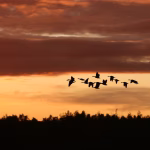 Migrating to Hybrid Cloud: Steps to Ensure a Smooth Transition