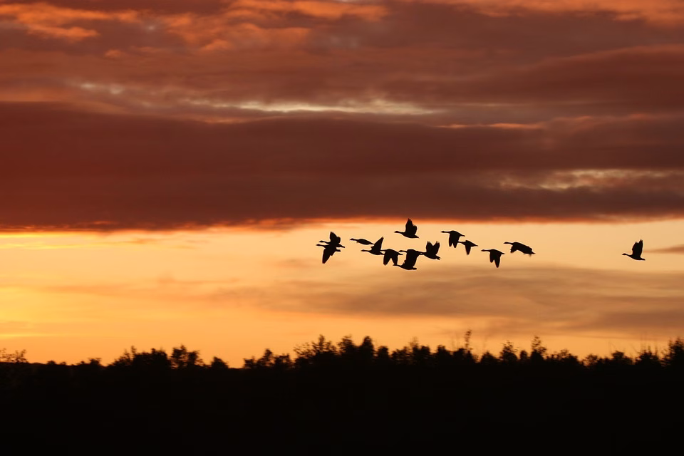 Migrating to Hybrid Cloud: Steps to Ensure a Smooth Transition