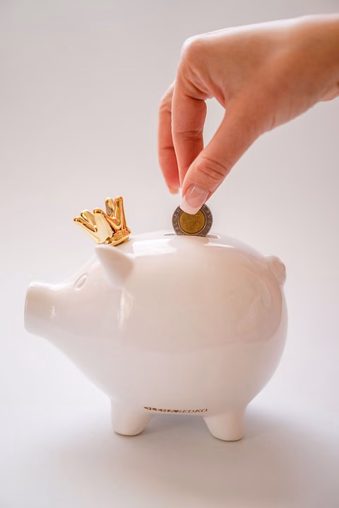 Budgeting for Success: Understanding Xero’s Pricing Structure