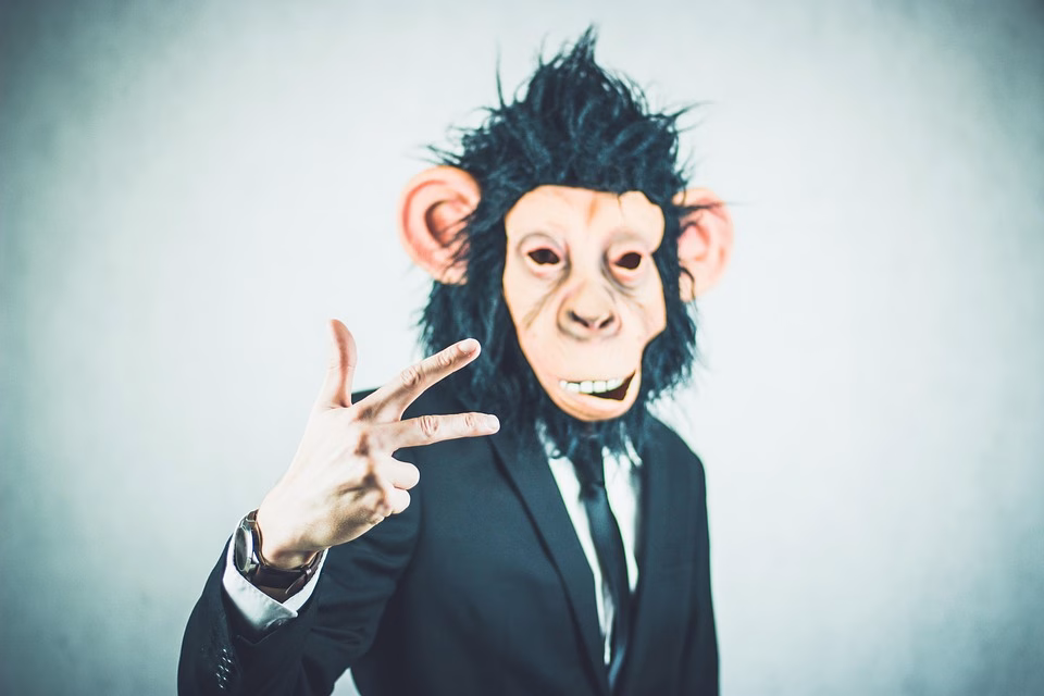 Your Startup’s Financial Lifeline: Top Accounting Software Solutions