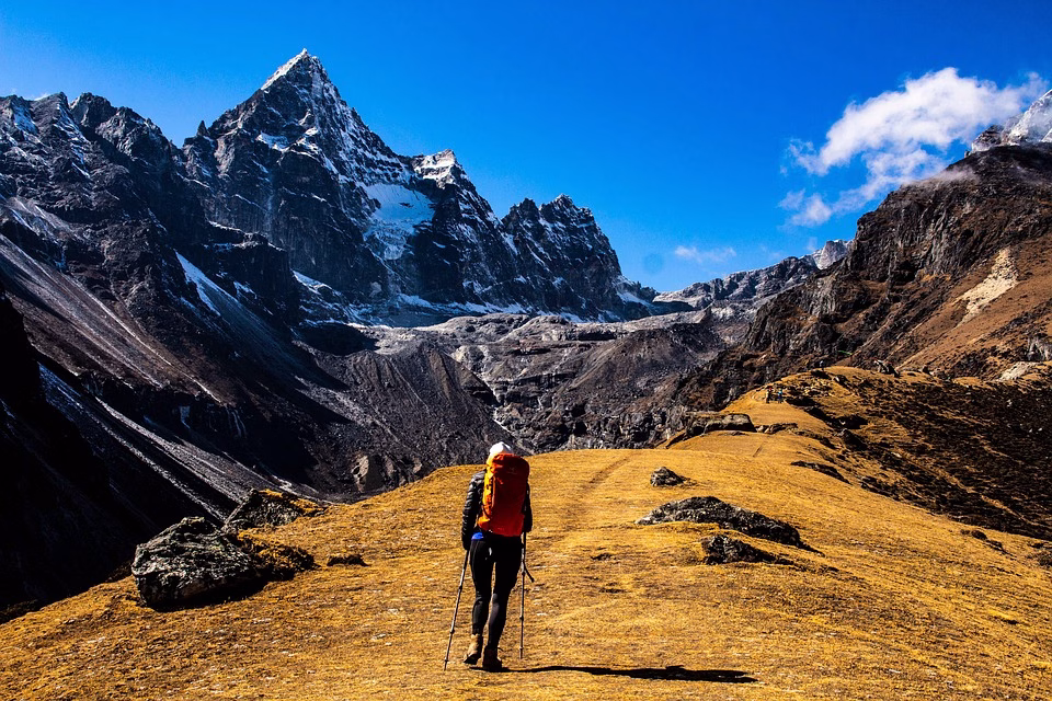 Navigating Remote Work: Essential Management Tools for Distributed Teams